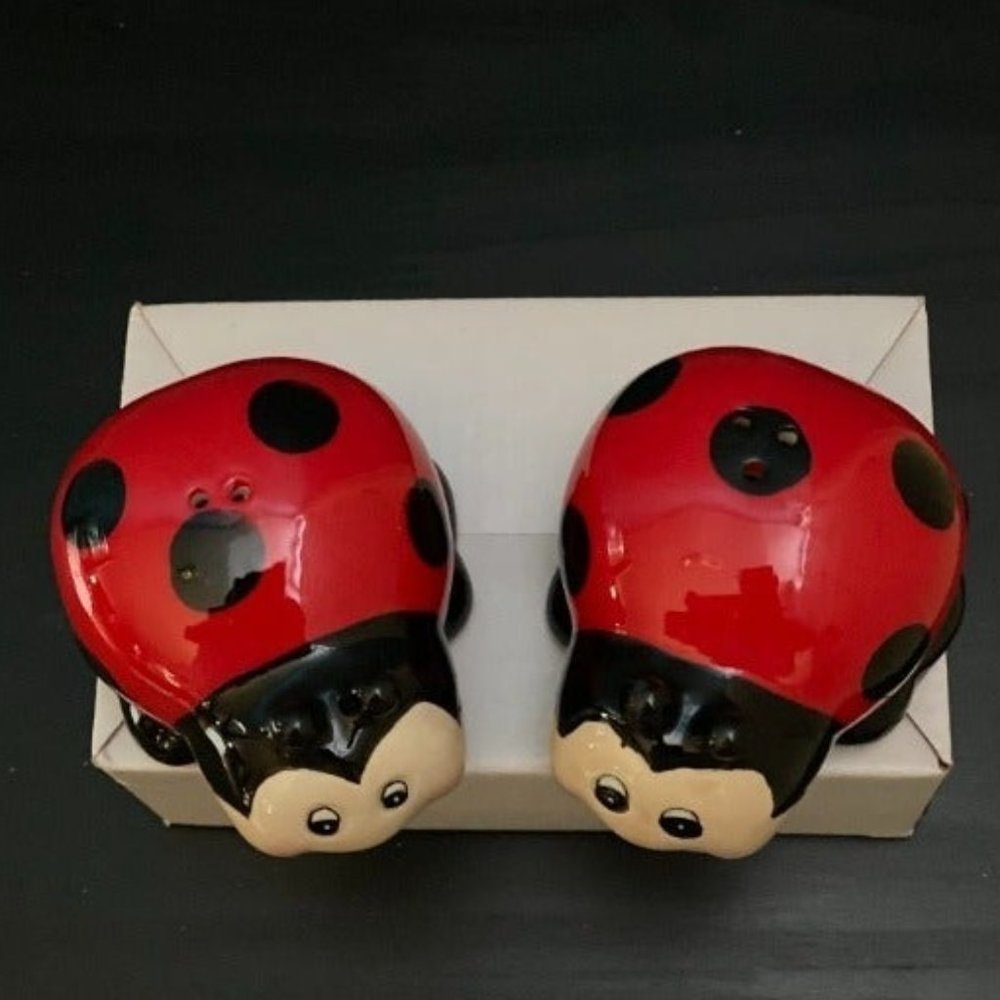 Set of 2 Ladybug Salt & Pepper Ceramic Shakers - Picture 2 of 2